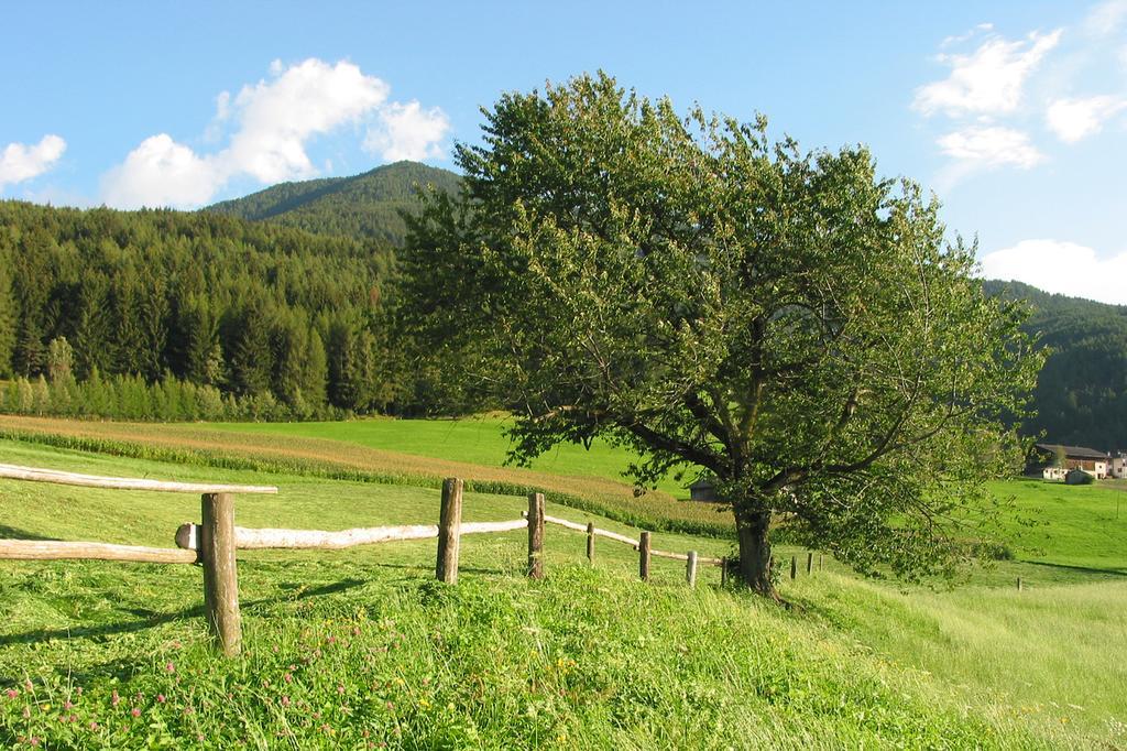 Spisserhof Κιούζα Εξωτερικό φωτογραφία