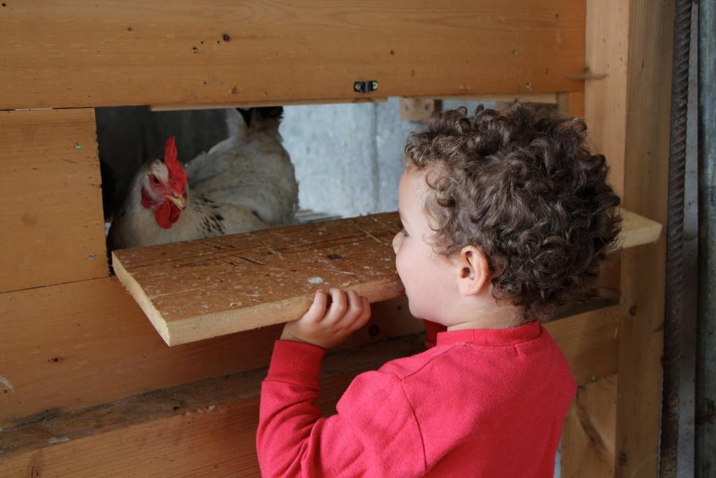 Spisserhof Κιούζα Εξωτερικό φωτογραφία